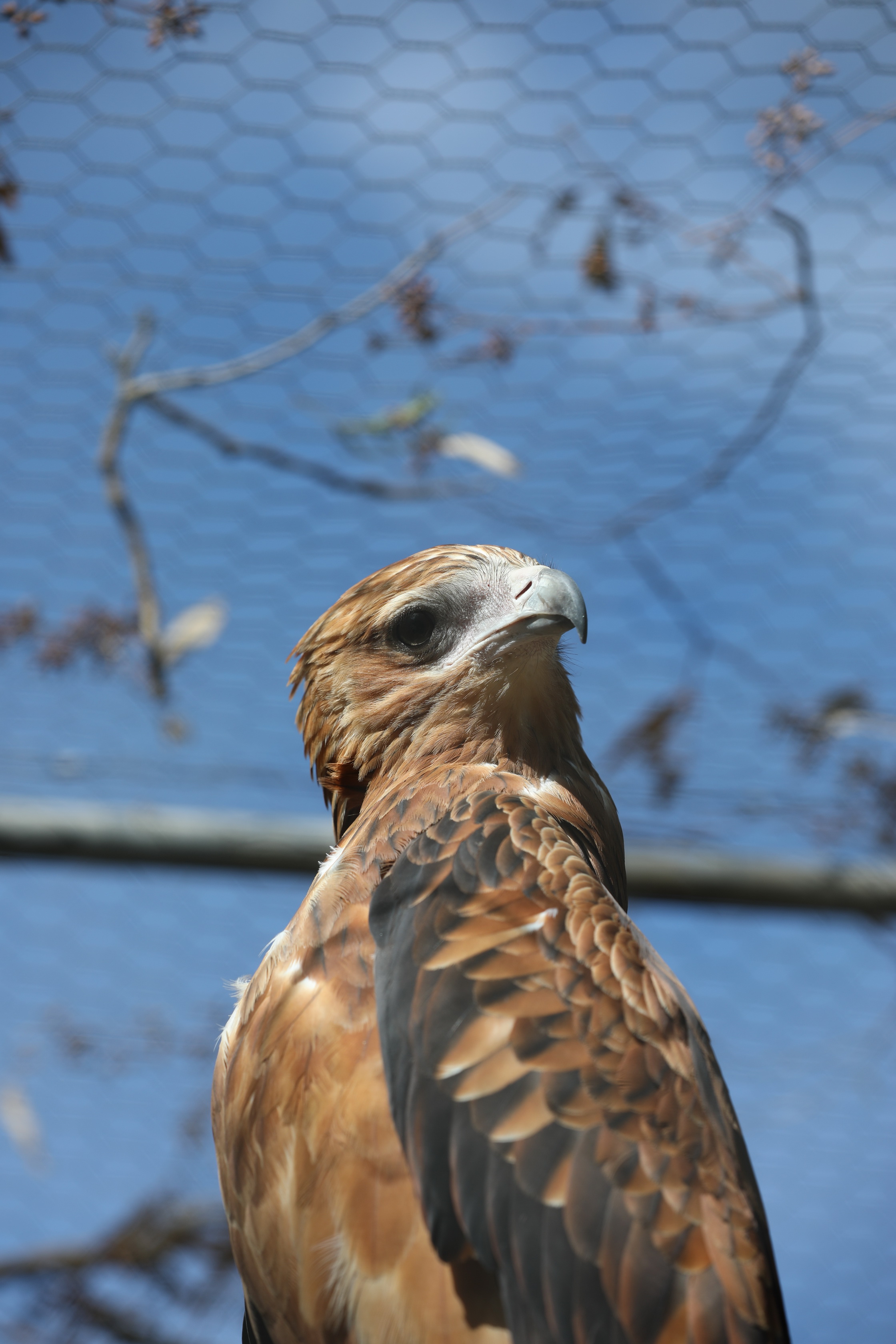 2019 11 22 16 33 22 Canon EOS 5D Mark IV 0033